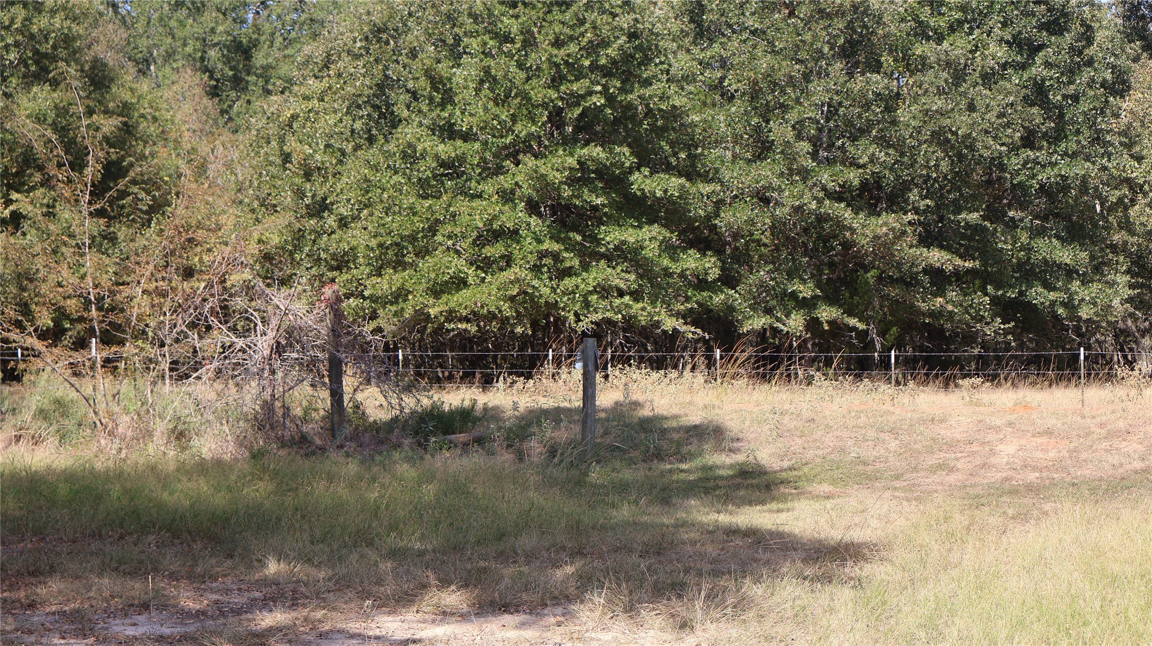 0 Private Road 8608 Tennessee Colony TX 75861