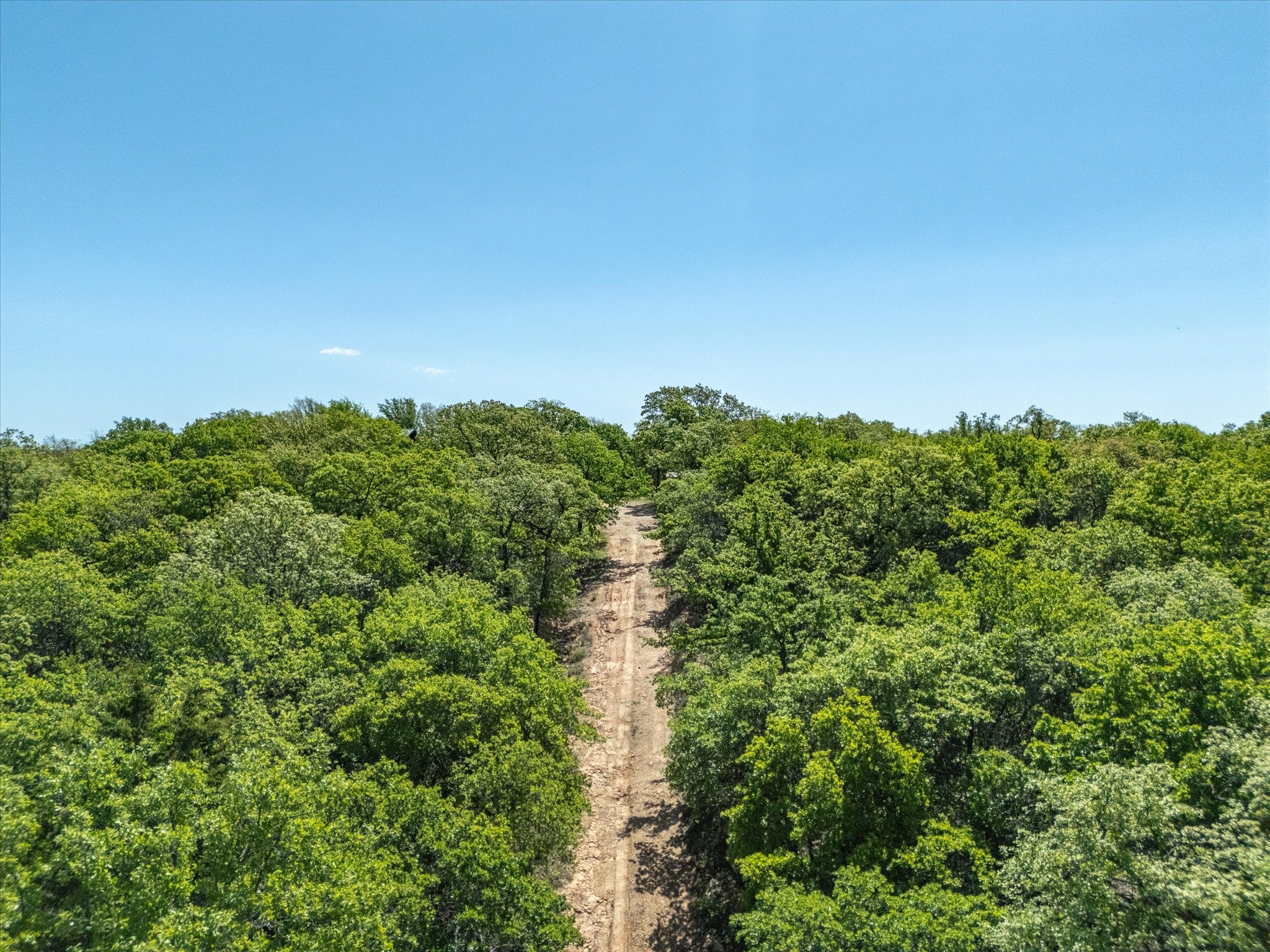 900 Old Spring Road Montague TX 76251