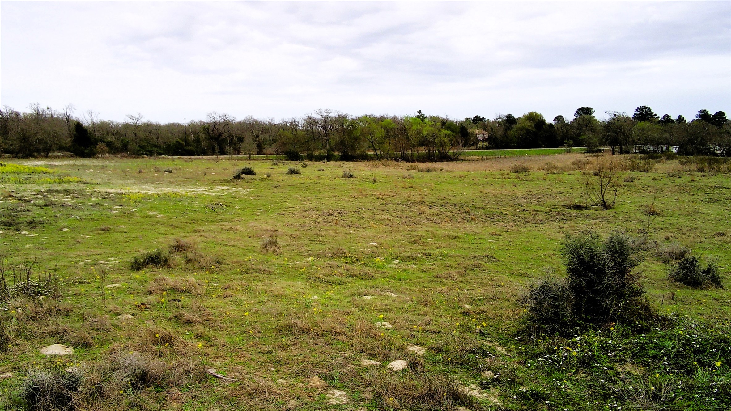 Tbd Fm 39 Road Groesbeck TX 76642