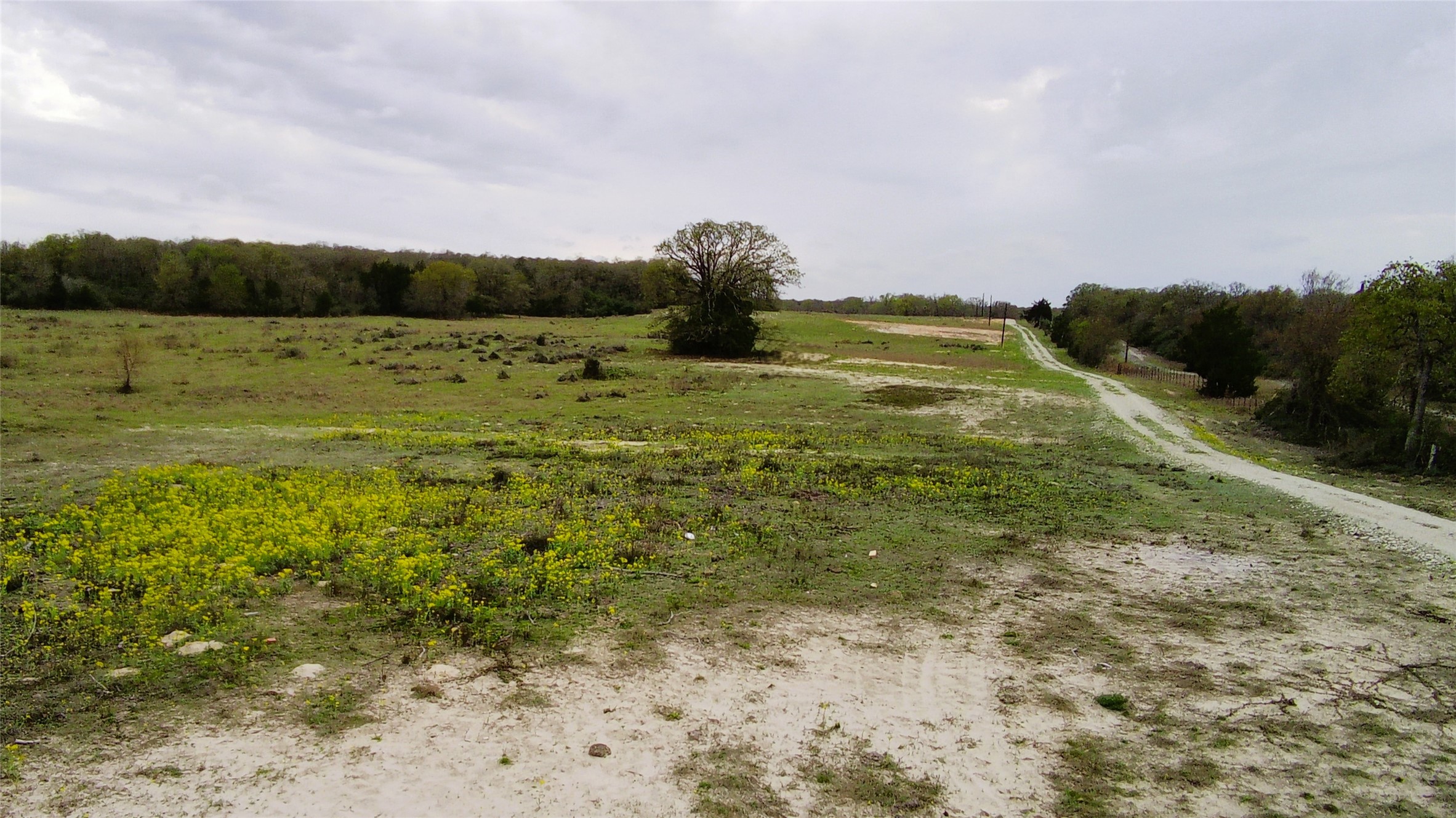 Tbd Fm 39 Road Groesbeck TX 76642