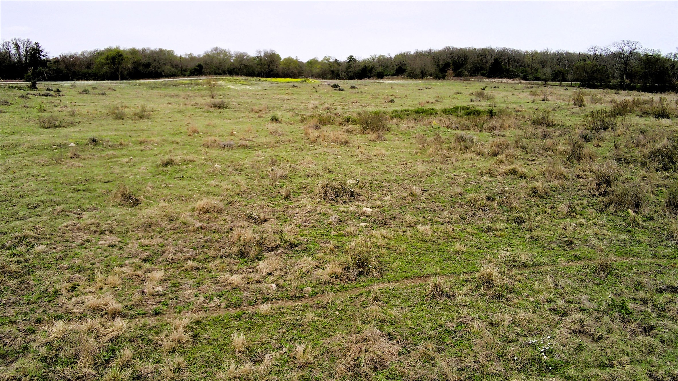 Tbd Fm 39 Road Groesbeck TX 76642