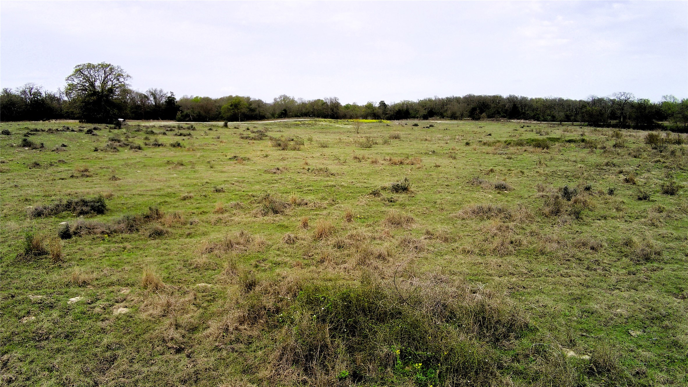 Tbd Fm 39 Road Groesbeck TX 76642