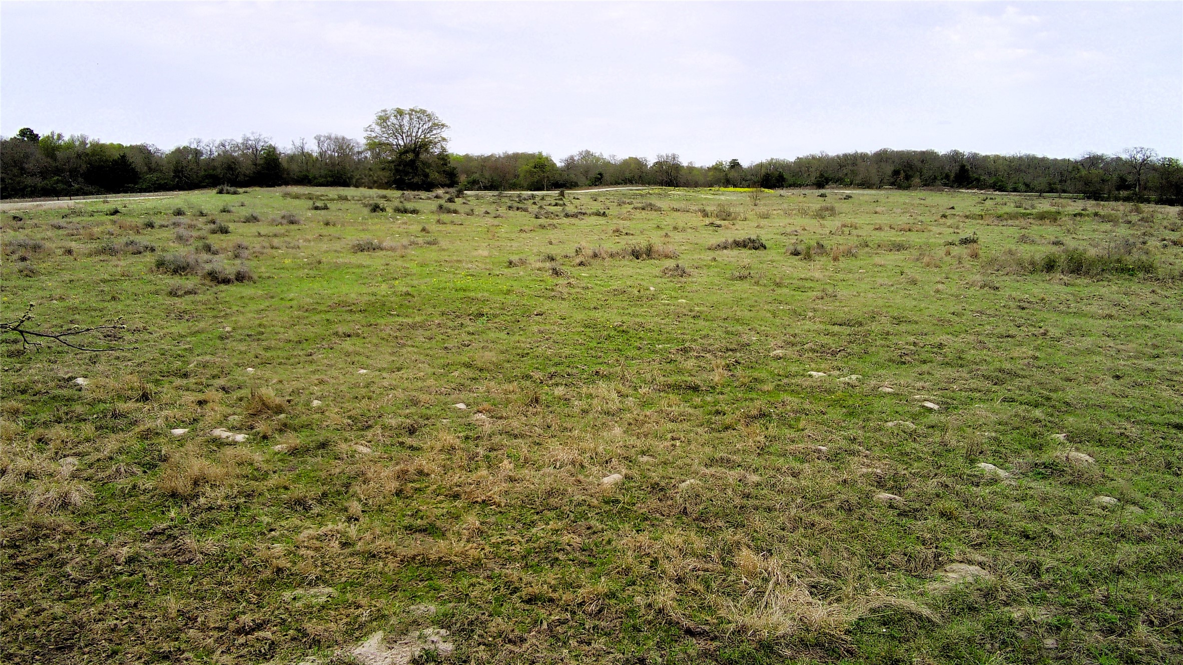 Tbd Fm 39 Road Groesbeck TX 76642
