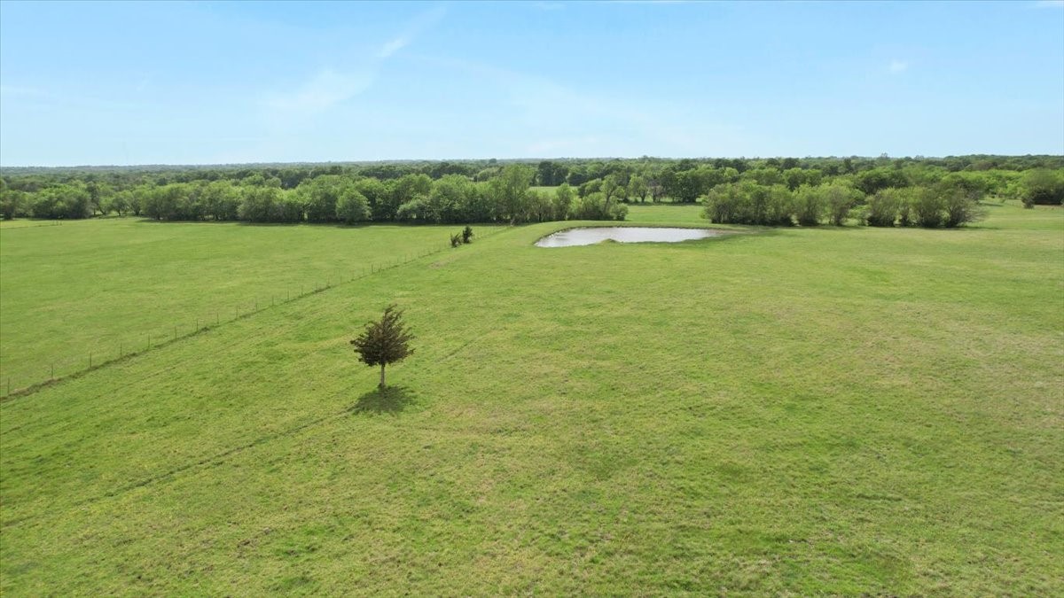 099 East Line Whitewright TX 75491