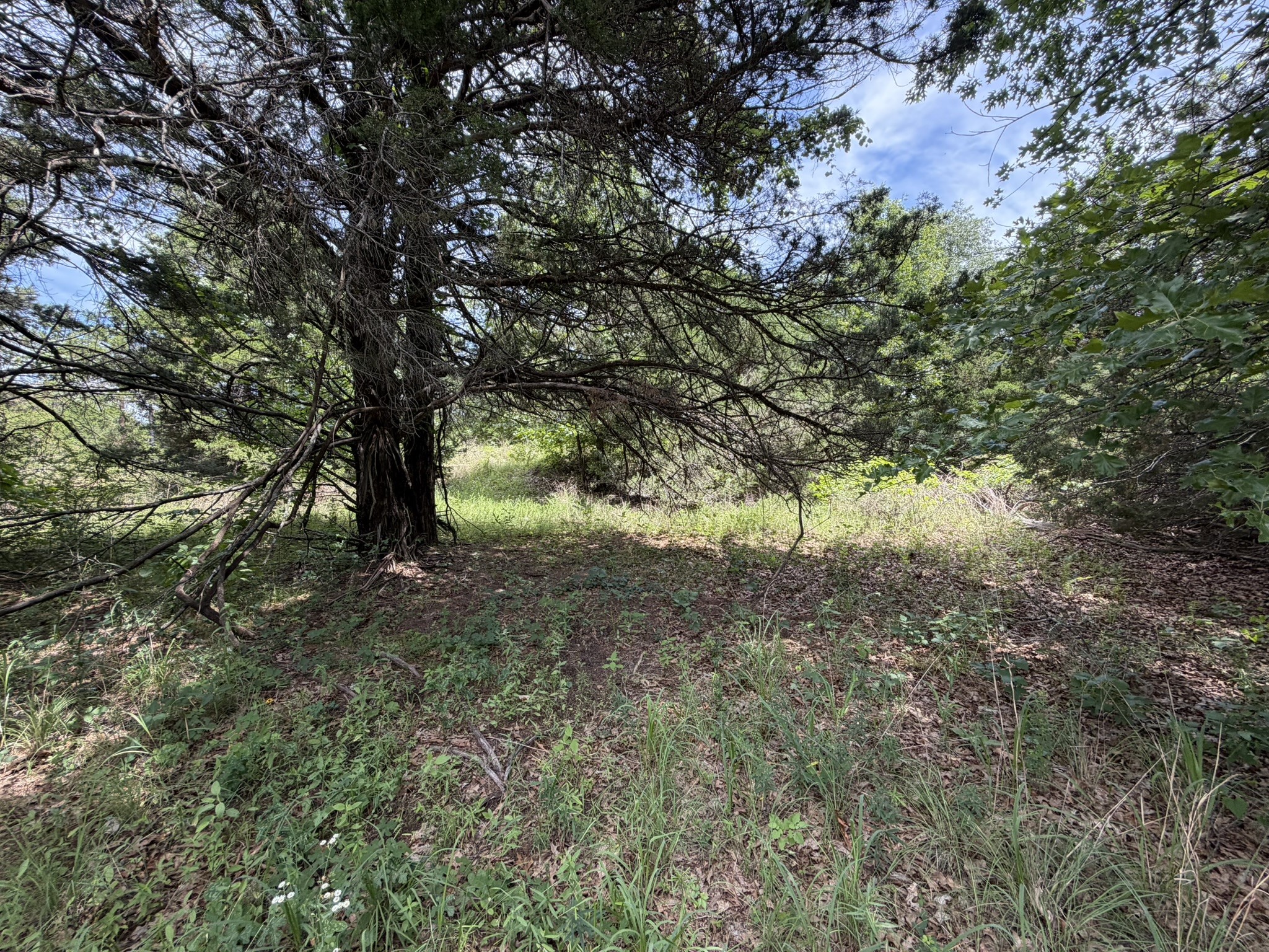 Tbd Reflection Bay Boulevard Gordonville TX 76245