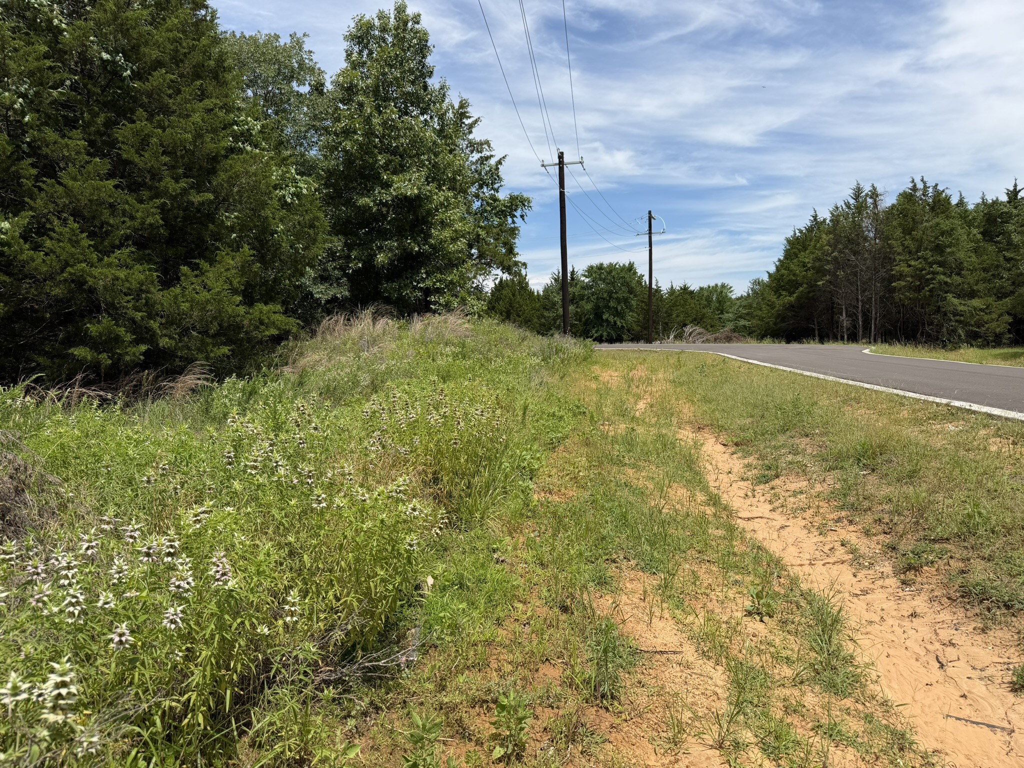 Tbd Reflection Bay Boulevard Gordonville TX 76245