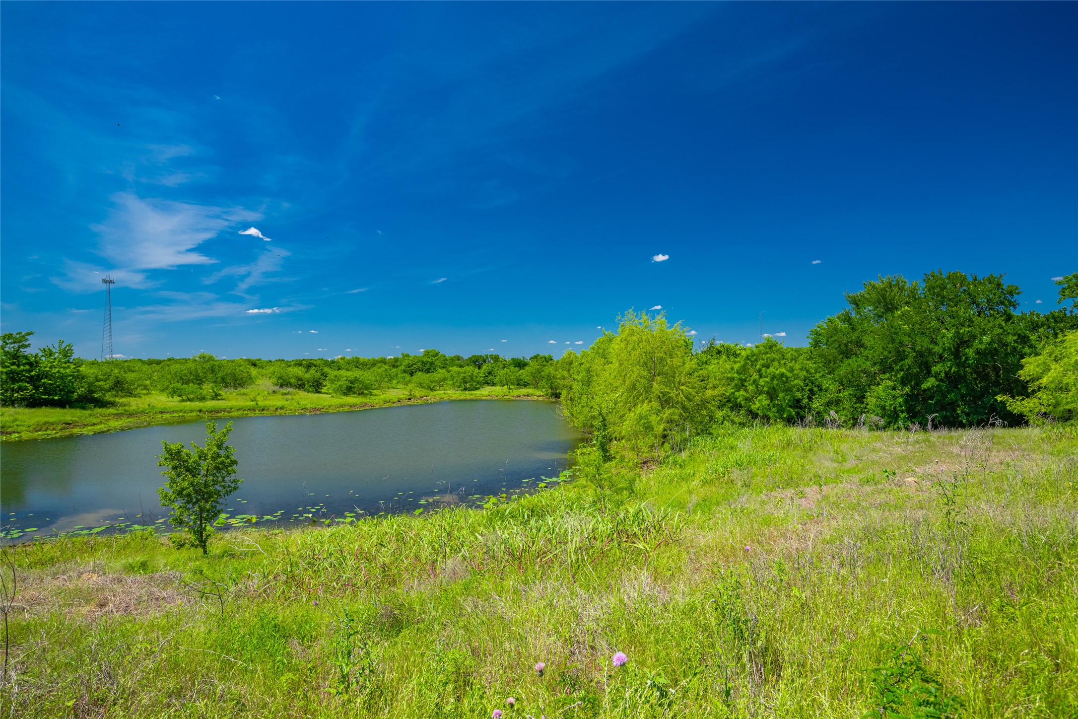 0 Highway 14 Groesbeck TX 76642