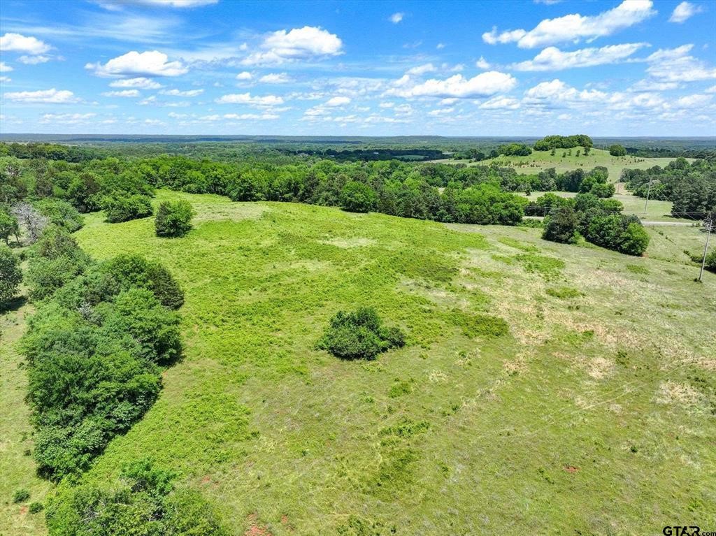 Tbd County Road 2493 Bullard TX 75757