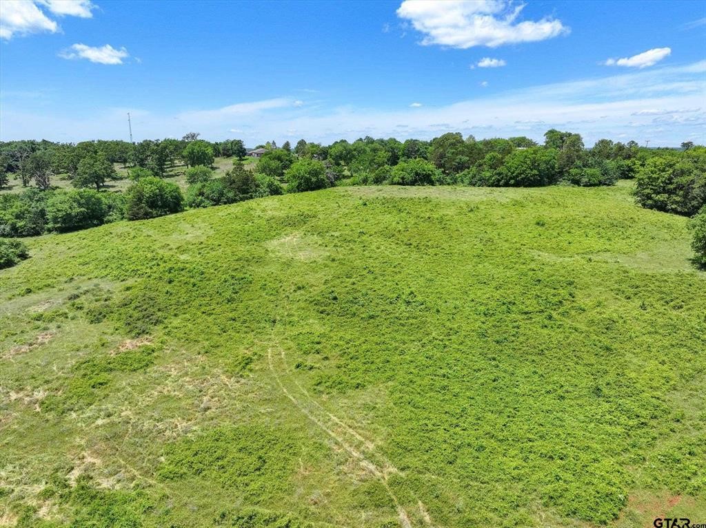 Tbd County Road 2493 Bullard TX 75757