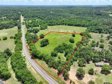 Tbd County Road 2493 Bullard TX 75757