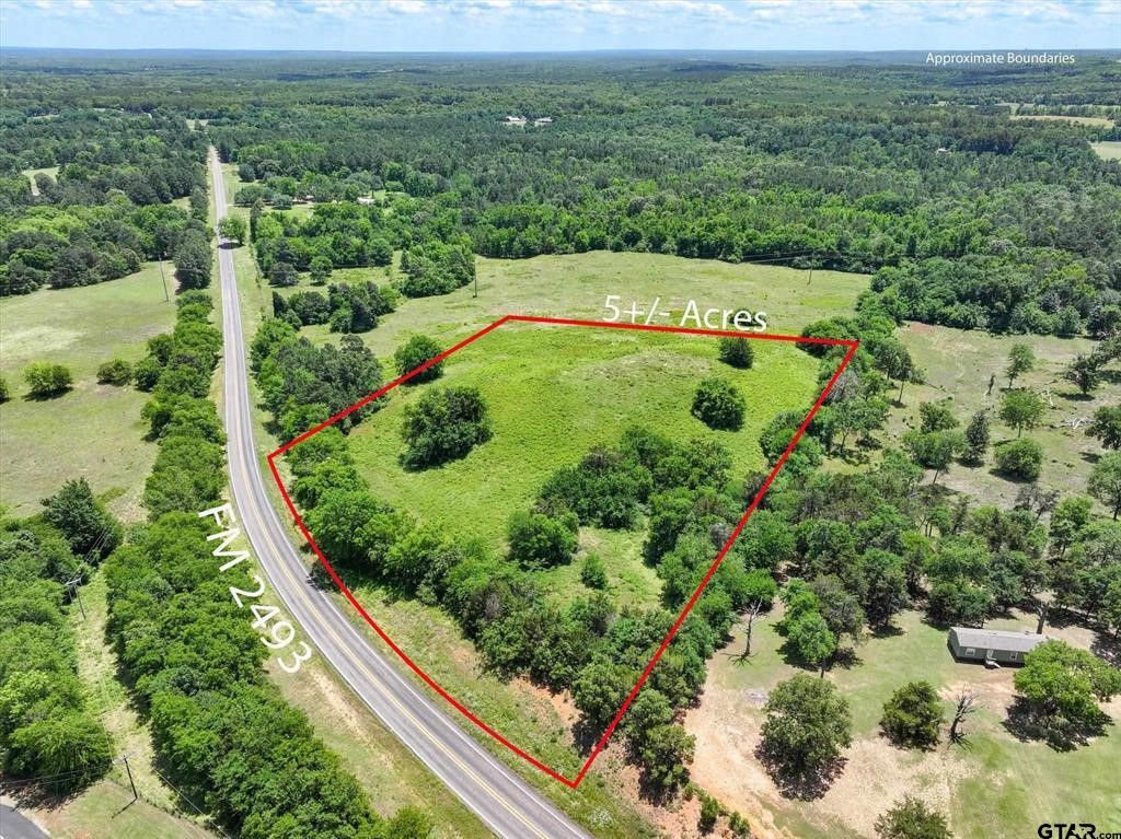 Tbd County Road 2493 Bullard TX 75757