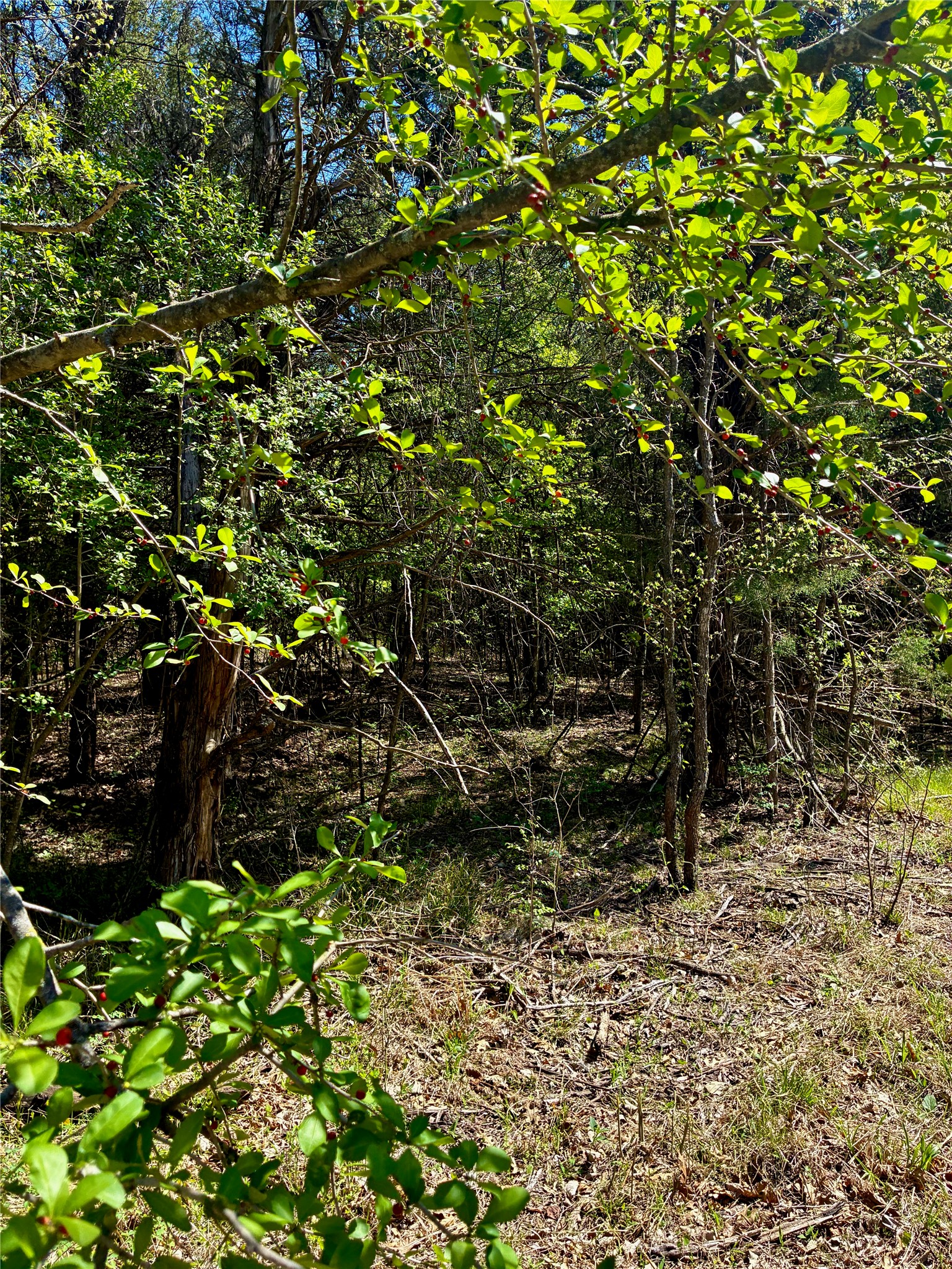 0800 Cr-2765 Honey Grove TX 75446