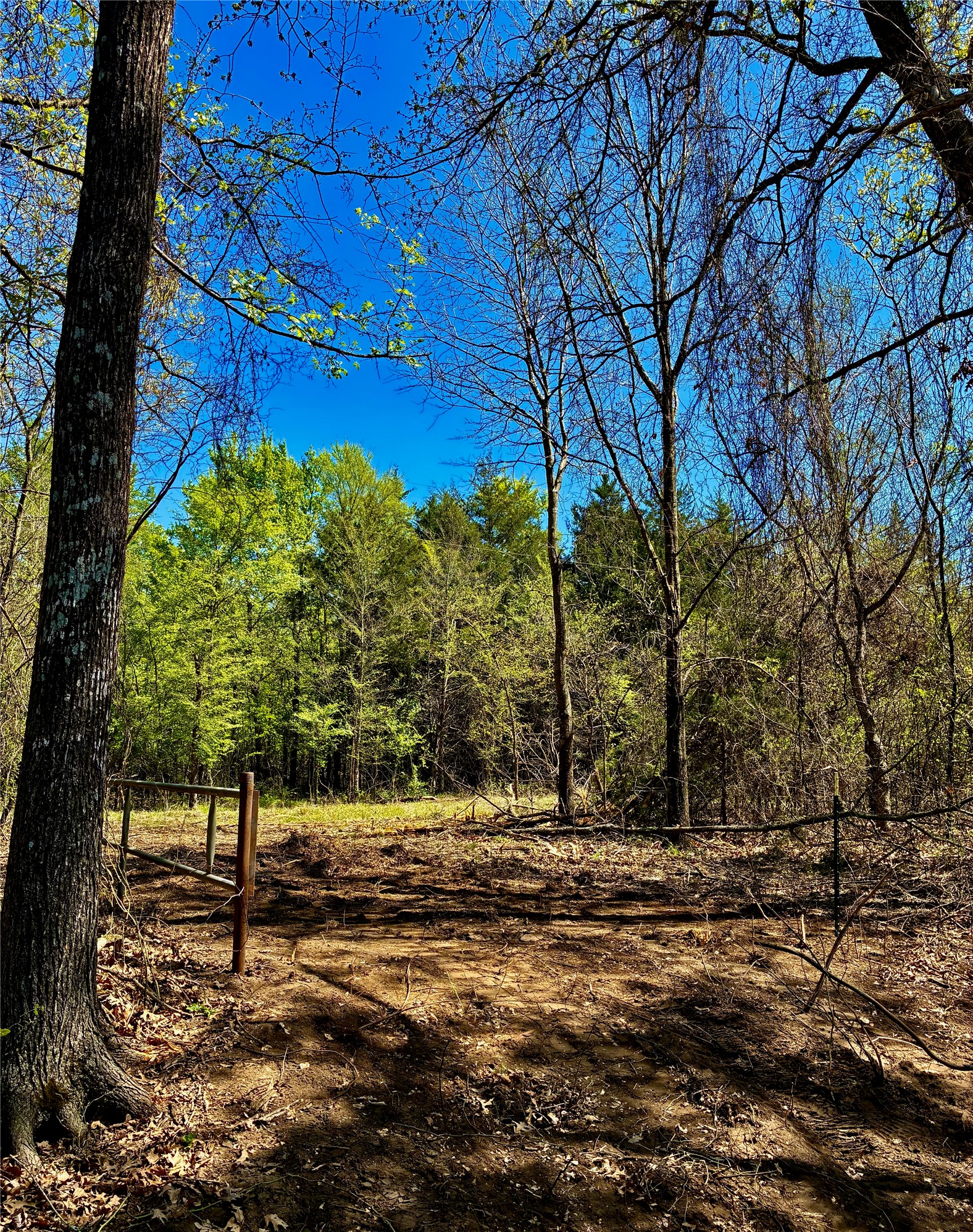 0800 Cr-2765 Honey Grove TX 75446