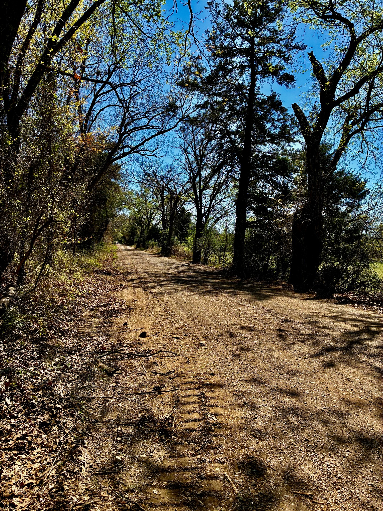 0800 Cr-2765 Honey Grove TX 75446