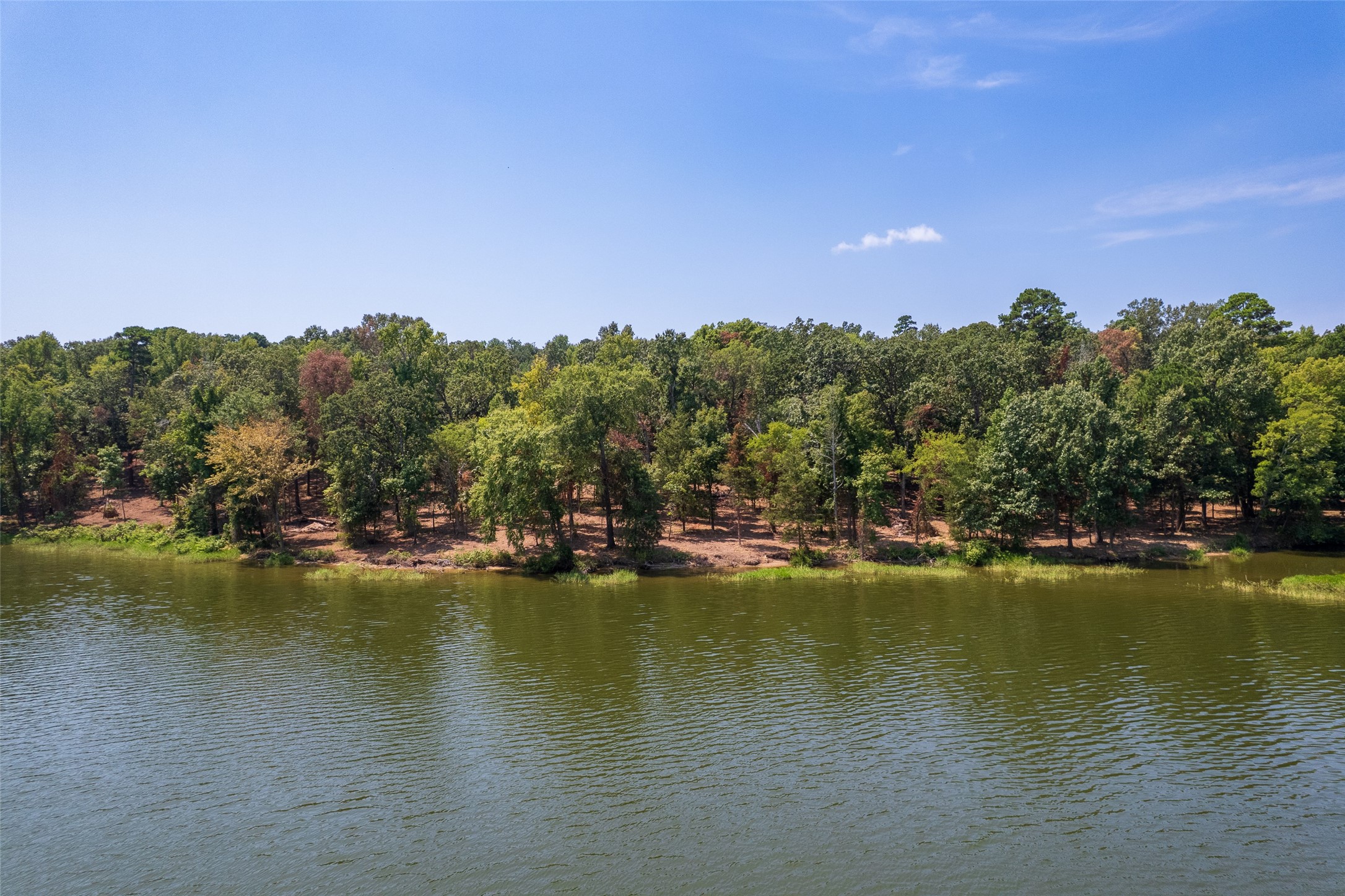Tbd Pr52447 Leesburg TX 75451