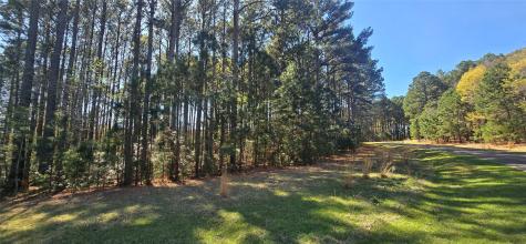 8300 Trophy Point Larue TX 75770