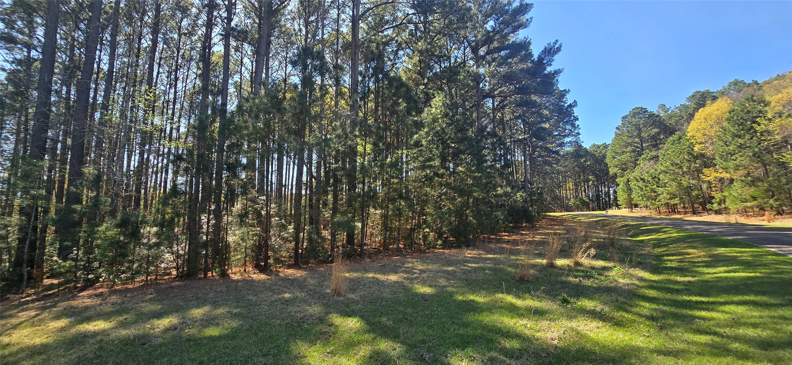 8300 Trophy Point Larue TX 75770