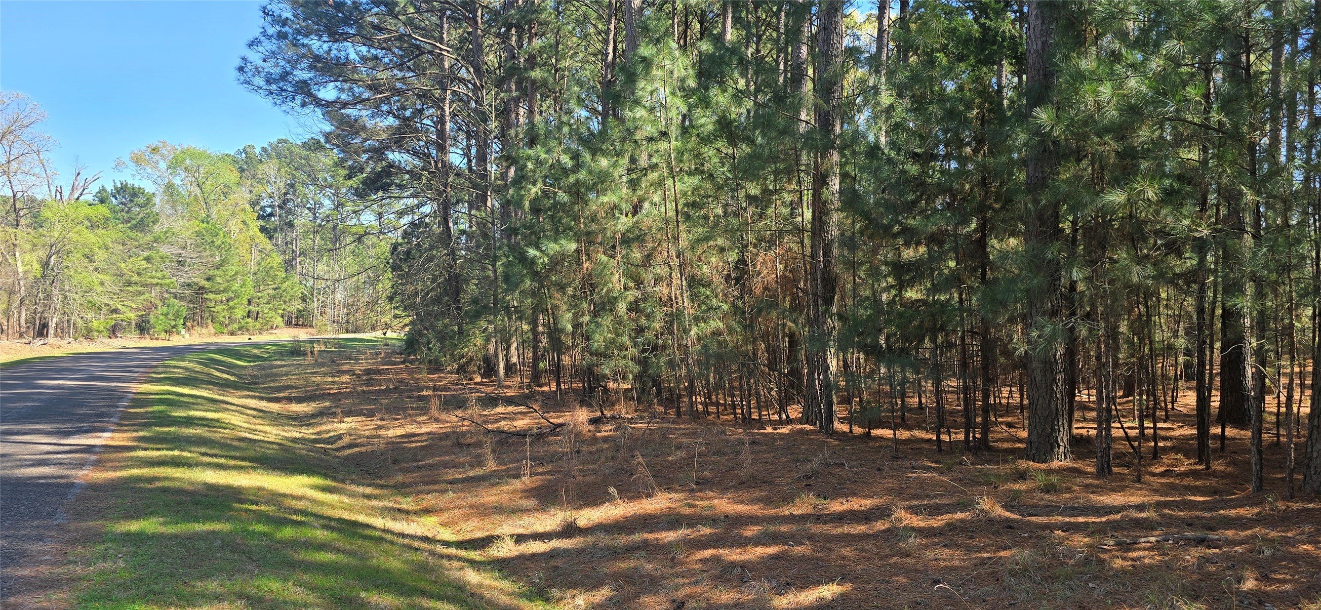 8300 Trophy Point Larue TX 75770
