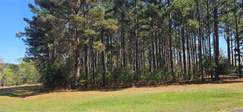 8300 Trophy Point Larue TX 75770