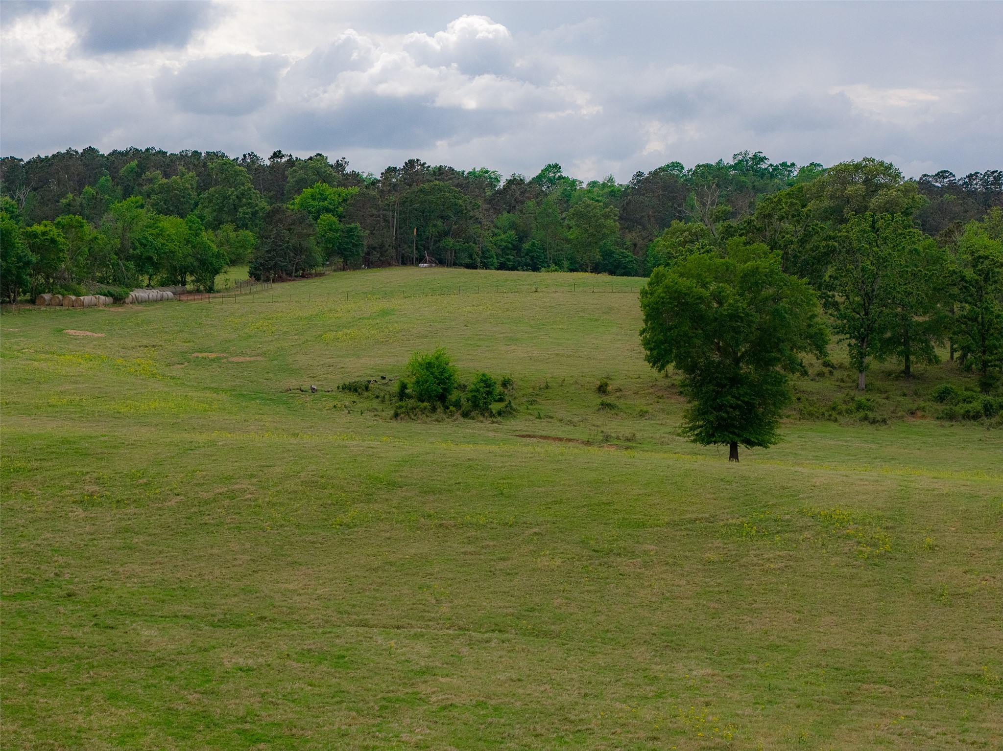 00 Tract 1 Cr 1615 Jacksonville TX 75766