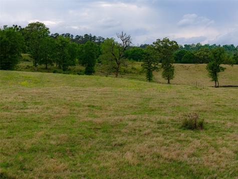 00 Tract 1 Cr 1615 Jacksonville TX 75766