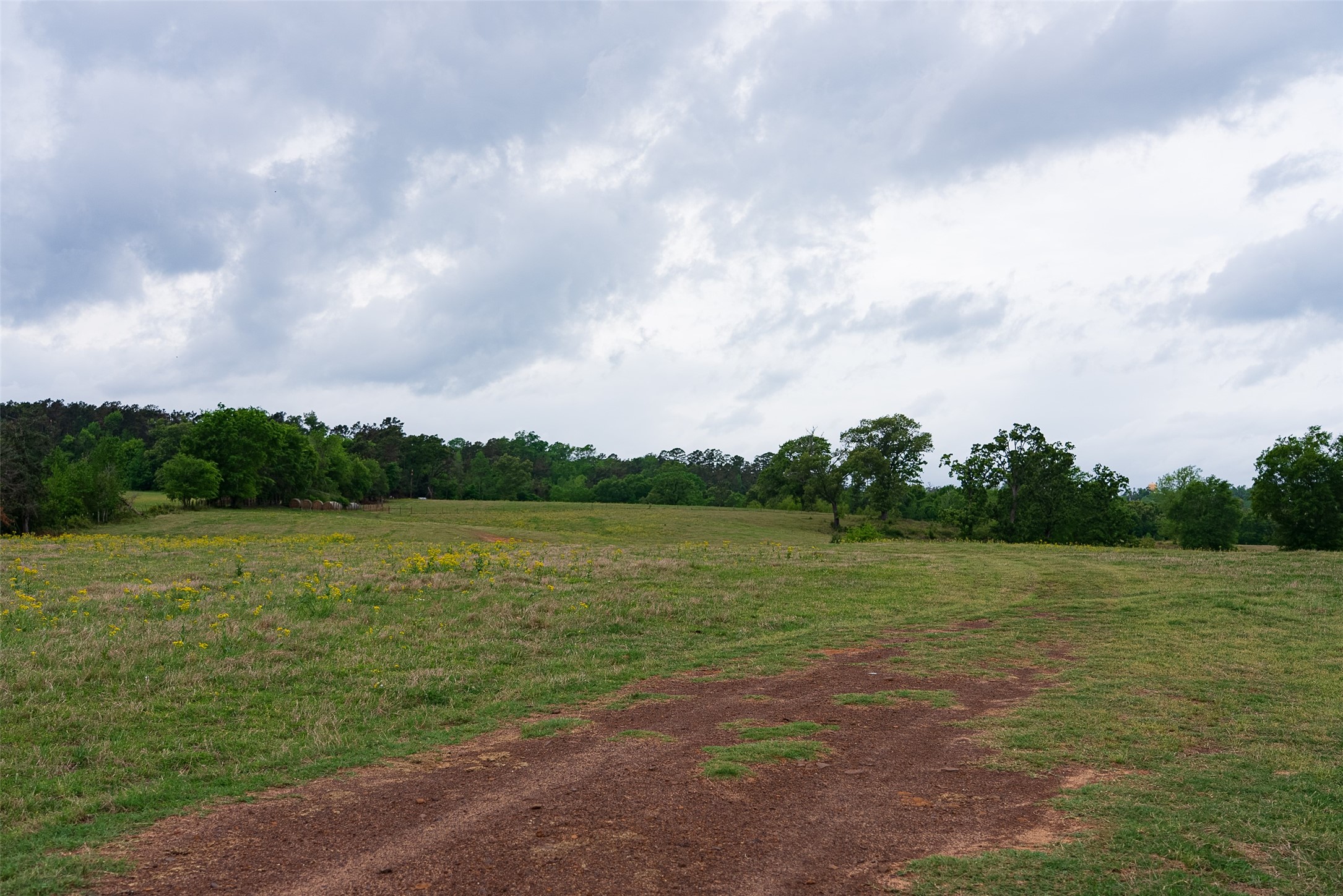 00 Tract 1 Cr 1615 Jacksonville TX 75766