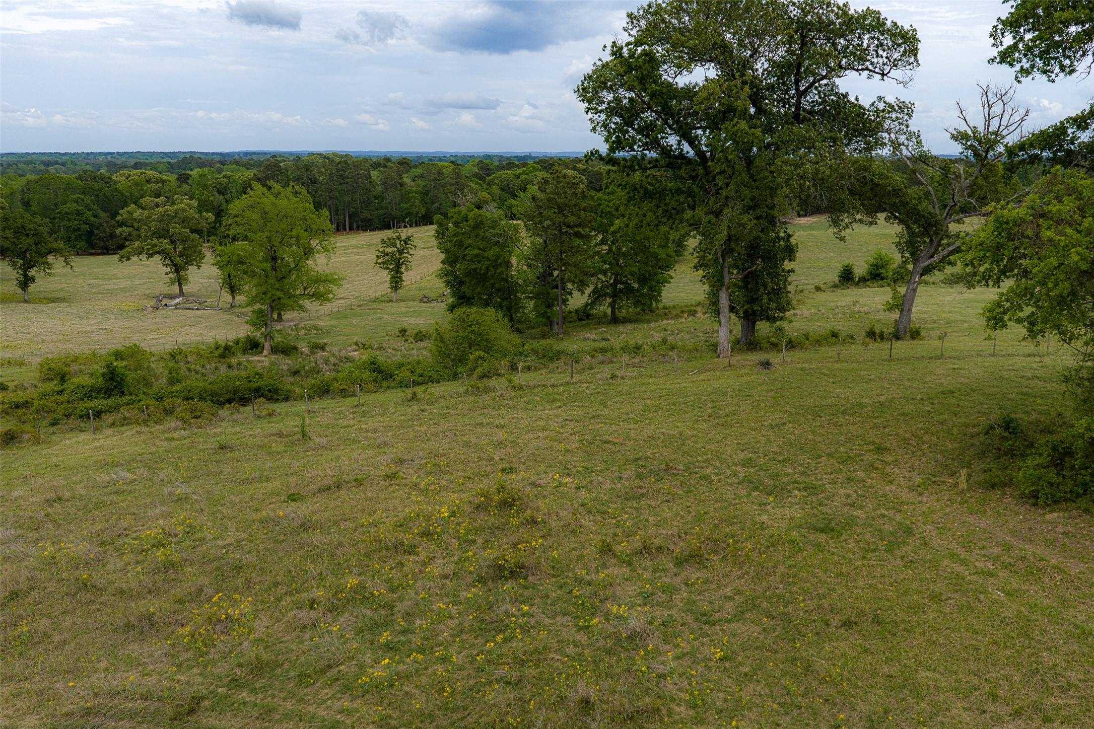 00 Tract 1 Cr 1615 Jacksonville TX 75766