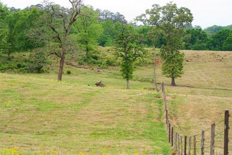 00 Tract 1 Cr 1615 Jacksonville TX 75766