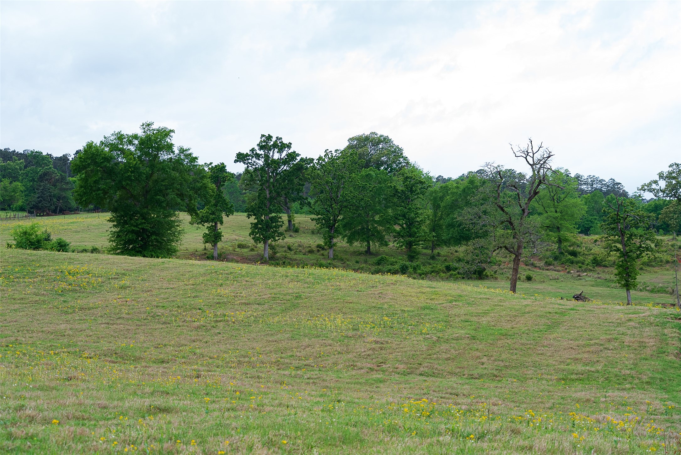 00 Tract 1 Cr 1615 Jacksonville TX 75766