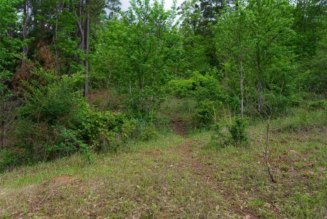 00 Tract 1 Cr 1615 Jacksonville TX 75766