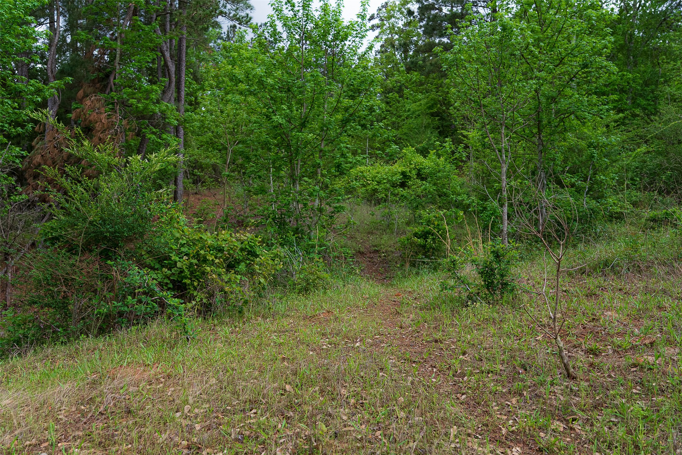 00 Tract 1 Cr 1615 Jacksonville TX 75766