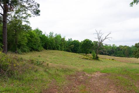 00 Tract 1 Cr 1615 Jacksonville TX 75766