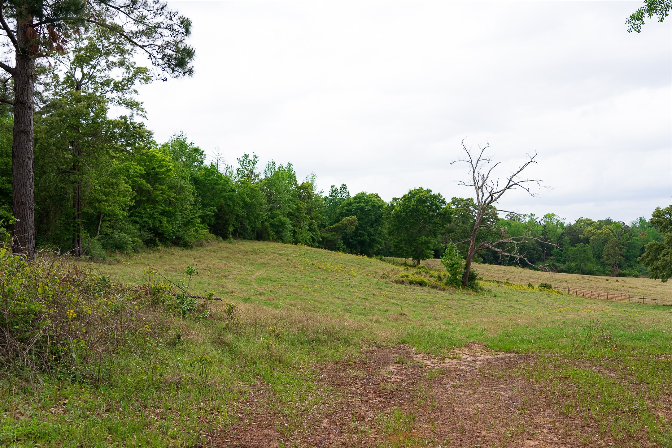 00 Tract 1 Cr 1615 Jacksonville TX 75766
