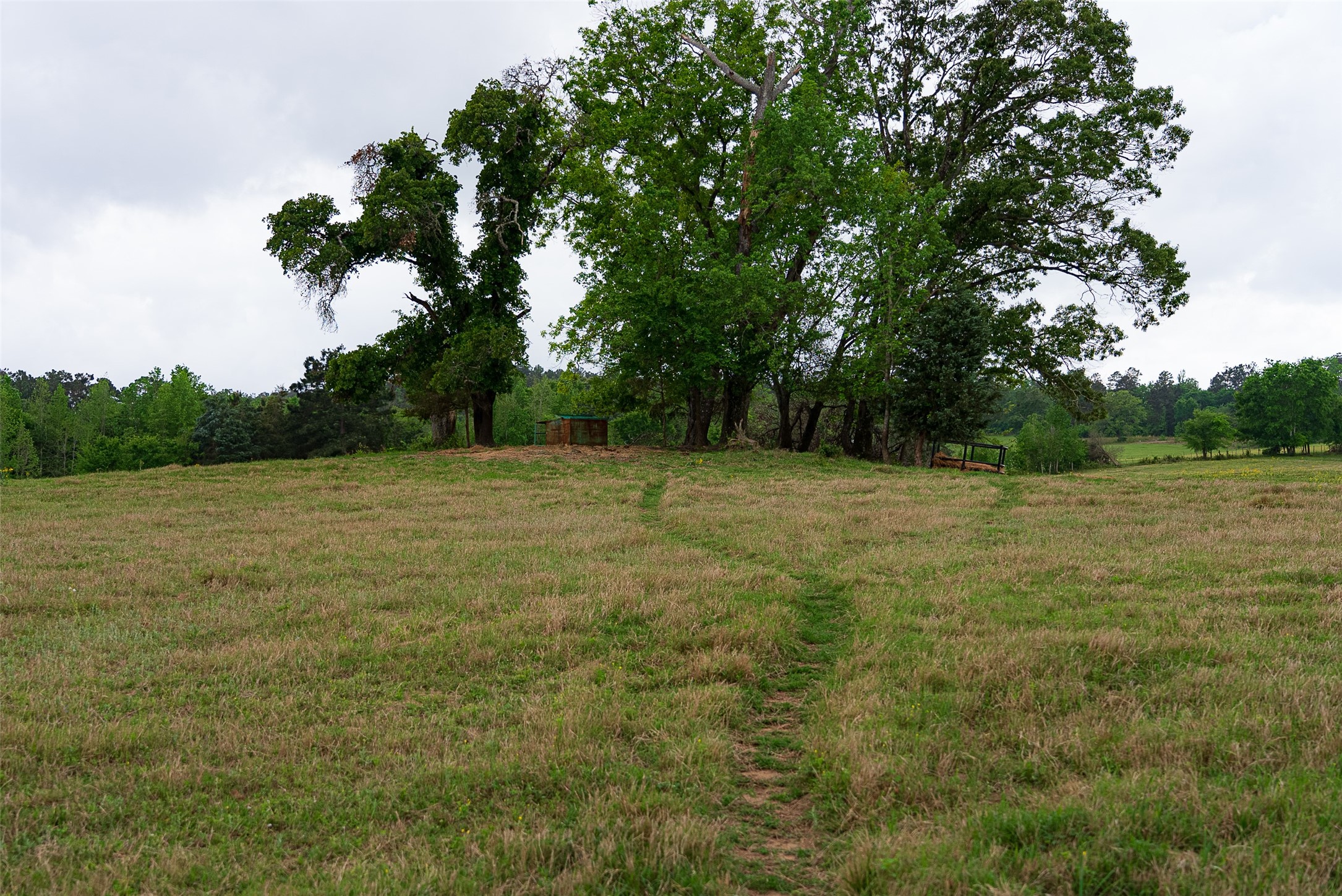 00 Tract 1 Cr 1615 Jacksonville TX 75766
