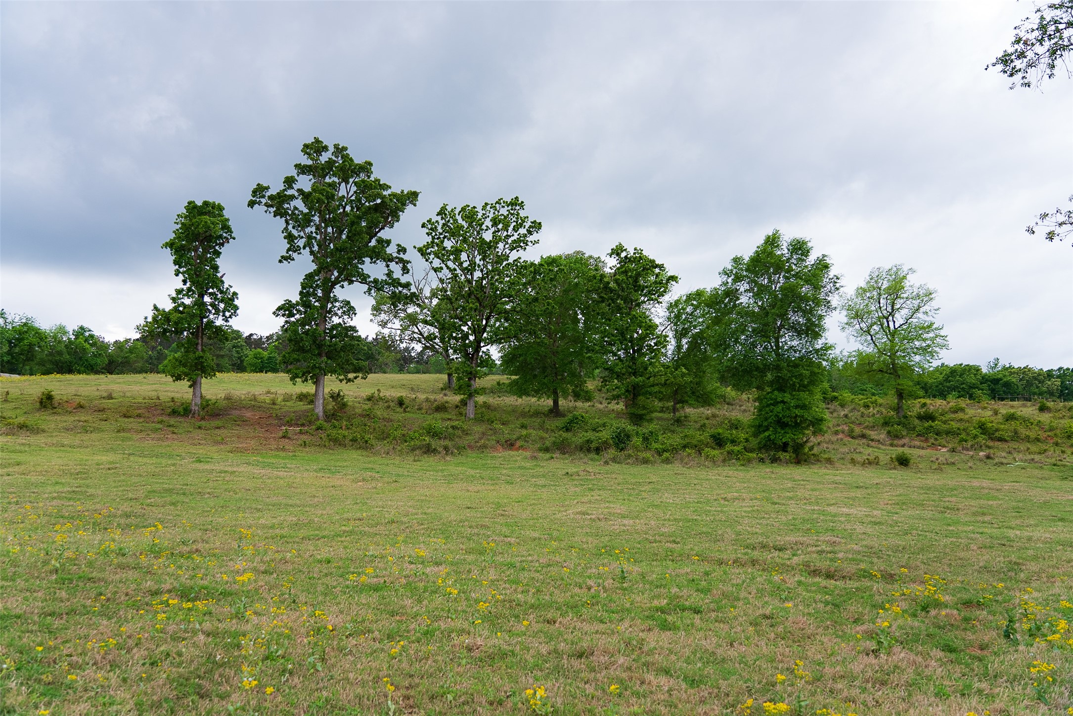 00 Tract 1 Cr 1615 Jacksonville TX 75766