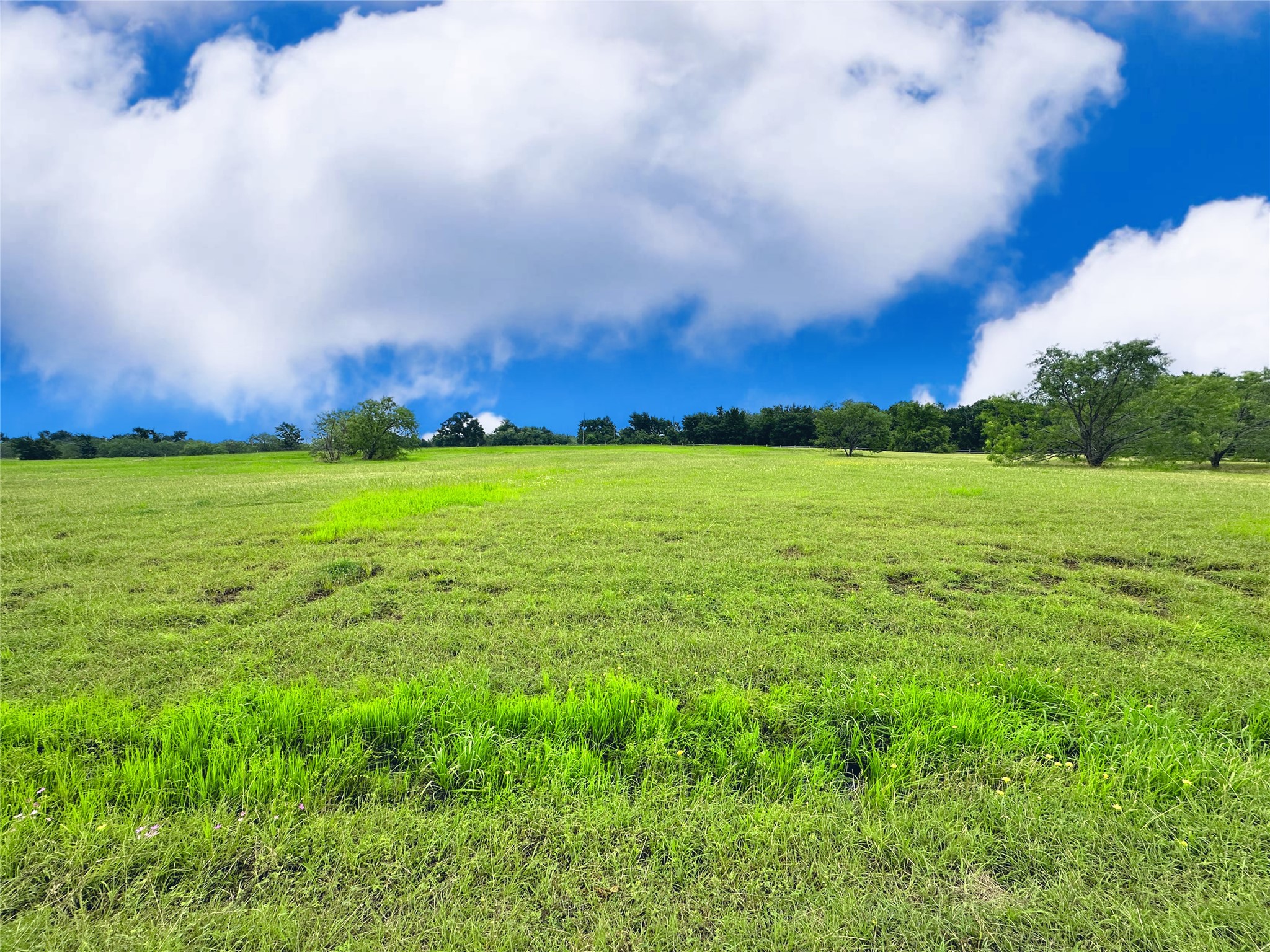 Lot 134 Lake Vista Drive Streetman TX 75859