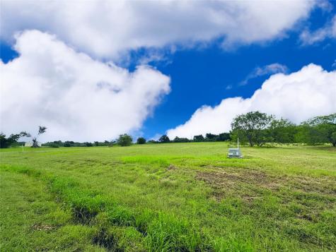 Lot 134 Lake Vista Drive Streetman TX 75859