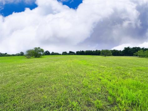 Lot 134 Lake Vista Drive Streetman TX 75859