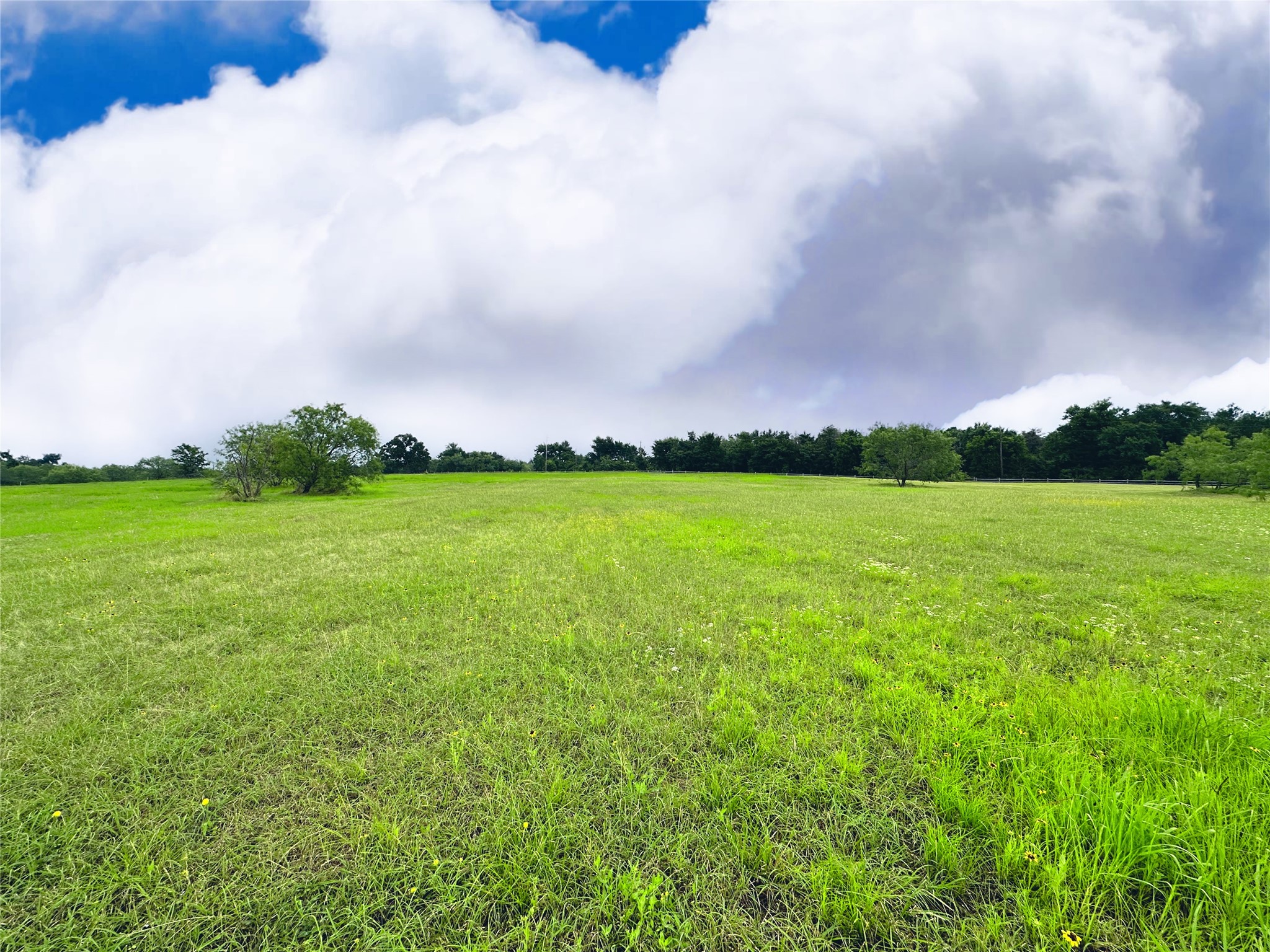 Lot 134 Lake Vista Drive Streetman TX 75859