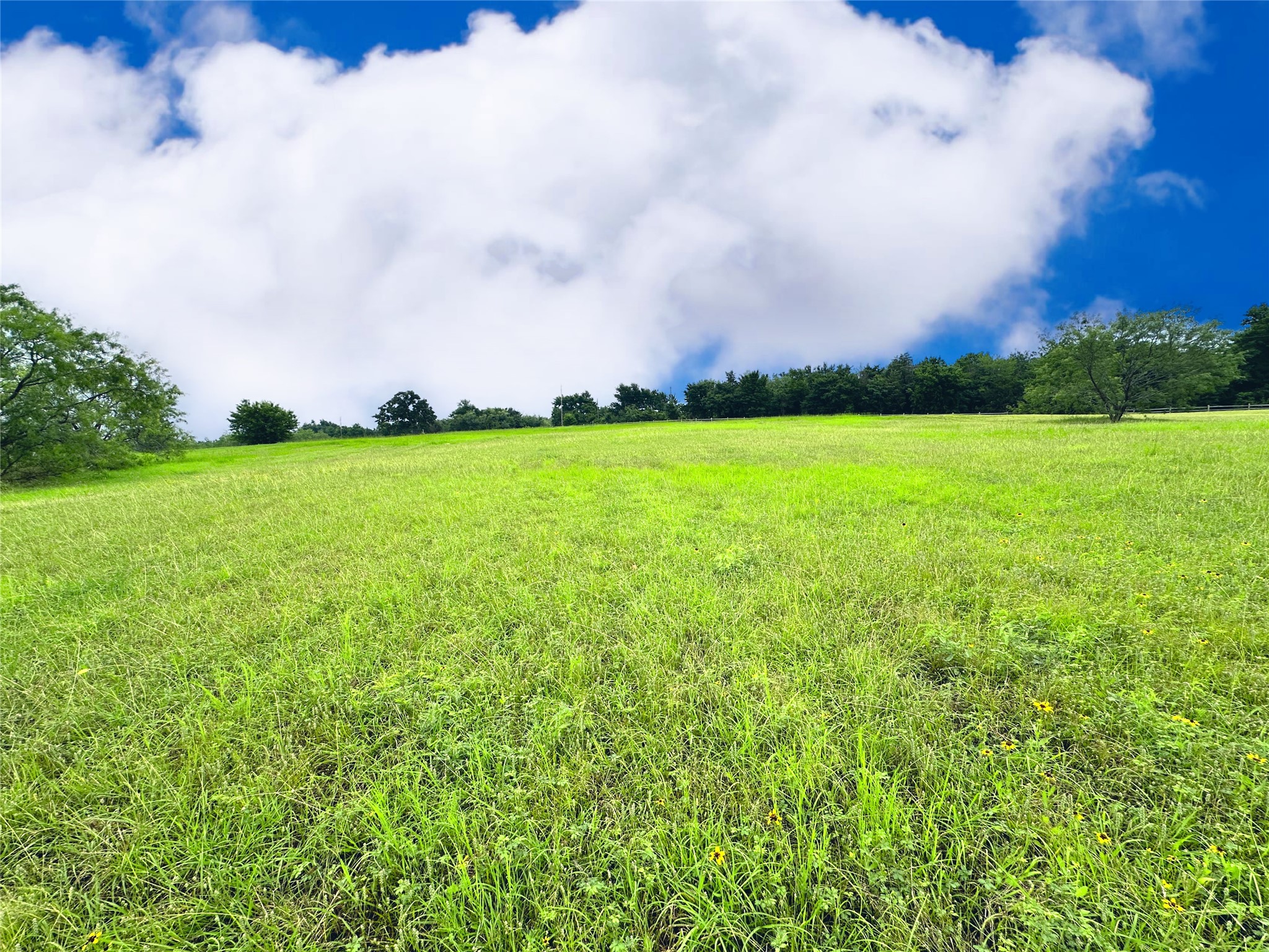 Lot 134 Lake Vista Drive Streetman TX 75859