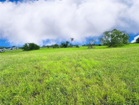Lot 134 Lake Vista Drive Streetman TX 75859