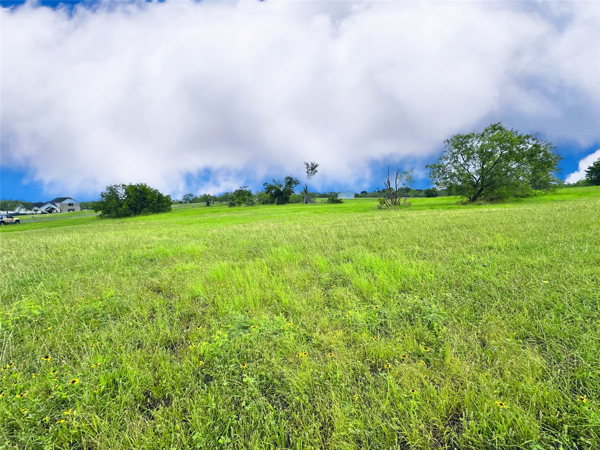 Lot 134 Lake Vista Drive Streetman TX 75859