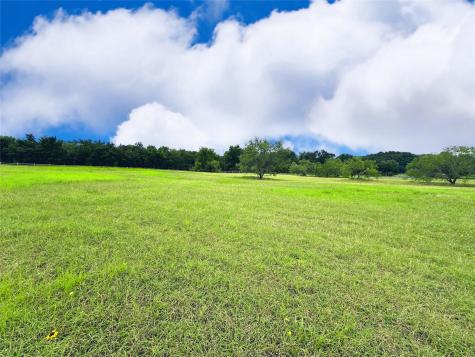 Lot 134 Lake Vista Drive Streetman TX 75859