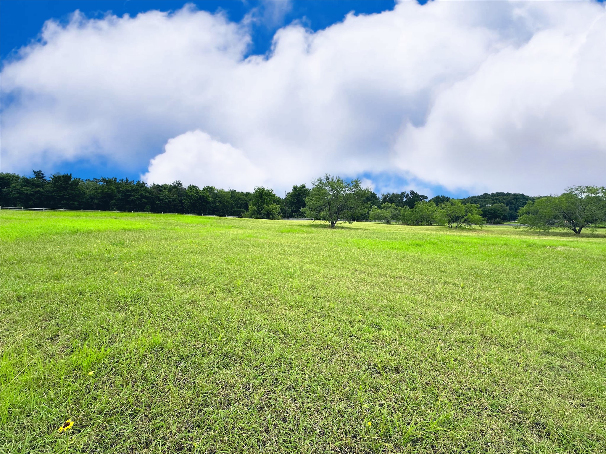 Lot 134 Lake Vista Drive Streetman TX 75859