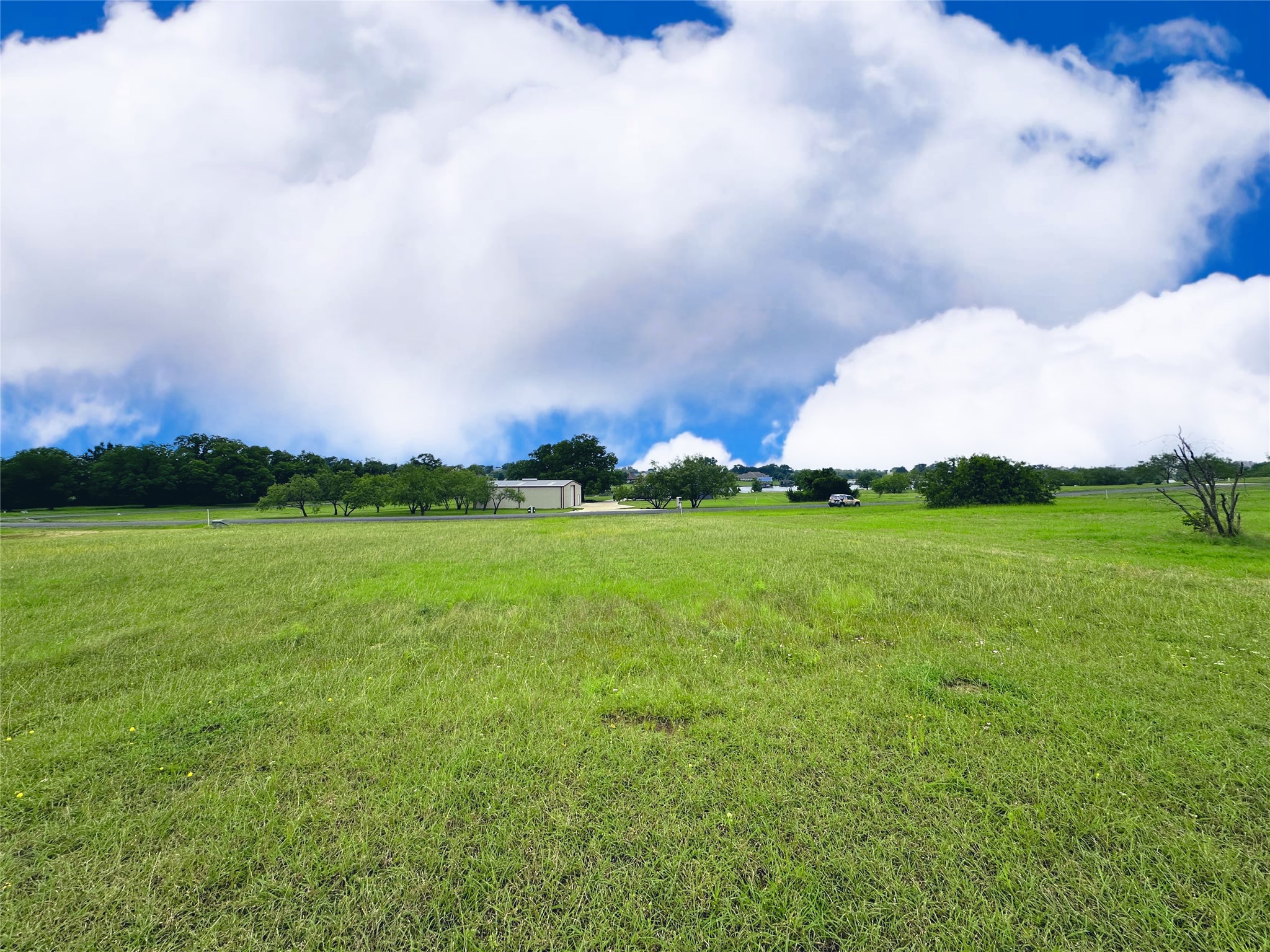 Lot 134 Lake Vista Drive Streetman TX 75859