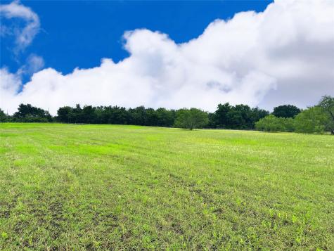 Lot 134 Lake Vista Drive Streetman TX 75859