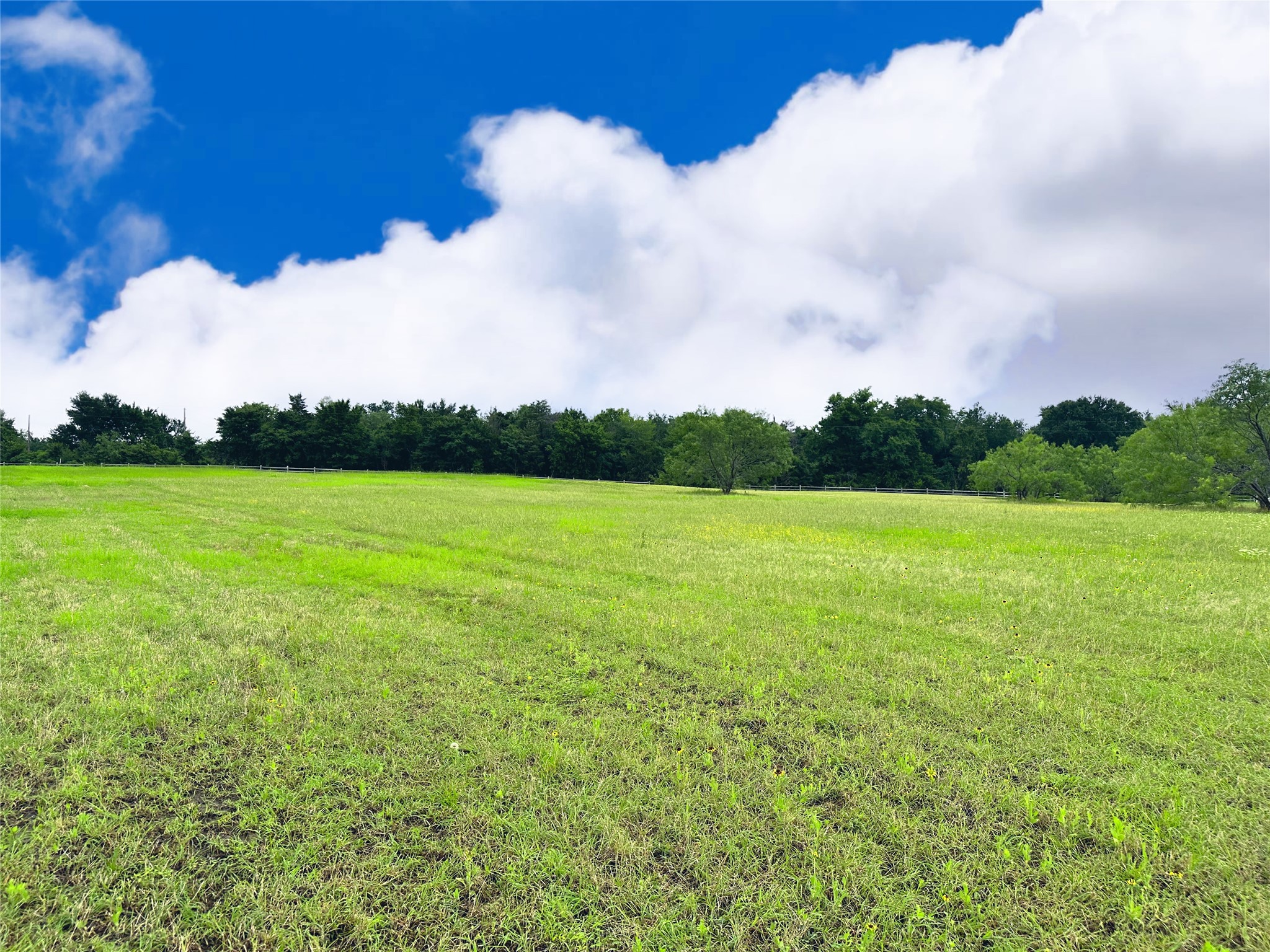 Lot 134 Lake Vista Drive Streetman TX 75859