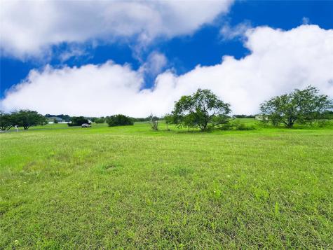 Lot 134 Lake Vista Drive Streetman TX 75859