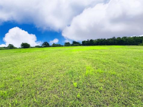 Lot 134 Lake Vista Drive Streetman TX 75859