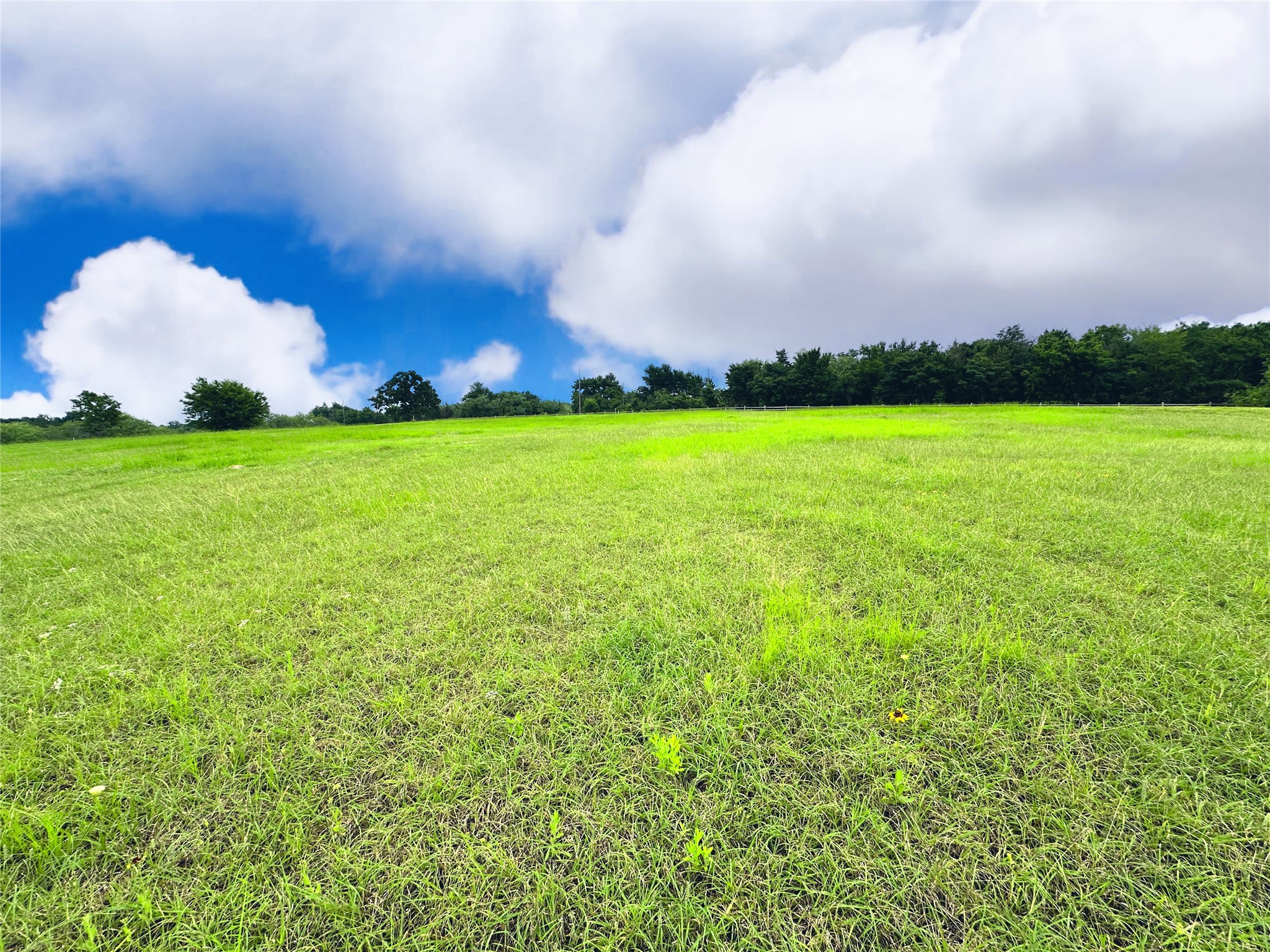 Lot 134 Lake Vista Drive Streetman TX 75859